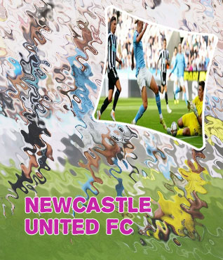 Newcastle football match today