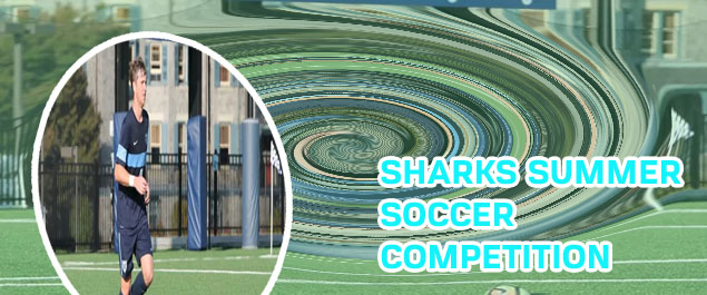 Soccer six fixture